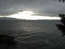 ./images/koeye/fitz-hugh/20200927/fitz-hugh20200927_161001.jpg