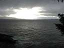 ./images/koeye/fitz-hugh/20200927/fitz-hugh20200927_162001.jpg