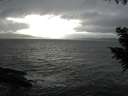 ./images/koeye/fitz-hugh/20200927/fitz-hugh20200927_162501.jpg