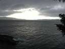 ./images/koeye/fitz-hugh/20200927/fitz-hugh20200927_163501.jpg