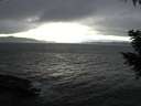 ./images/koeye/fitz-hugh/20200927/fitz-hugh20200927_164001.jpg