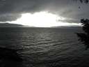 ./images/koeye/fitz-hugh/20200927/fitz-hugh20200927_164501.jpg