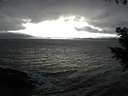 ./images/koeye/fitz-hugh/20200927/fitz-hugh20200927_165001.jpg