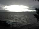 ./images/koeye/fitz-hugh/20200927/fitz-hugh20200927_165501.jpg