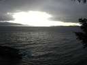 ./images/koeye/fitz-hugh/20200927/fitz-hugh20200927_170501.jpg