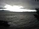 ./images/koeye/fitz-hugh/20200927/fitz-hugh20200927_171501.jpg