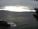 ./images/koeye/fitz-hugh/20200927/fitz-hugh20200927_173501.jpg