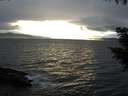 ./images/koeye/fitz-hugh/20200927/fitz-hugh20200927_183502.jpg