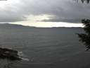 ./images/koeye/fitz-hugh/20200927/fitz-hugh20200927_192501.jpg