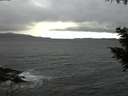 ./images/koeye/fitz-hugh/20200927/fitz-hugh20200927_194501.jpg
