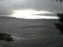./images/koeye/fitz-hugh/20200927/fitz-hugh20200927_195001.jpg