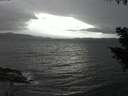 ./images/koeye/fitz-hugh/20200927/fitz-hugh20200927_195501.jpg