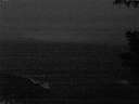 ./images/koeye/fitz-hugh/20200928/fitz-hugh20200928_065002.jpg