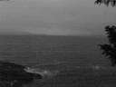 ./images/koeye/fitz-hugh/20200928/fitz-hugh20200928_065502.jpg