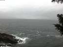 ./images/koeye/fitz-hugh/20200928/fitz-hugh20200928_071501.jpg