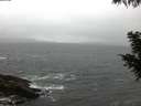 ./images/koeye/fitz-hugh/20200928/fitz-hugh20200928_072501.jpg