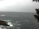 ./images/koeye/fitz-hugh/20200928/fitz-hugh20200928_073501.jpg