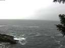./images/koeye/fitz-hugh/20200928/fitz-hugh20200928_074501.jpg