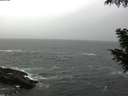 ./images/koeye/fitz-hugh/20200928/fitz-hugh20200928_075001.jpg