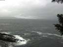 ./images/koeye/fitz-hugh/20200928/fitz-hugh20200928_081501.jpg