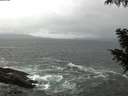 ./images/koeye/fitz-hugh/20200928/fitz-hugh20200928_082001.jpg