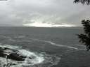 ./images/koeye/fitz-hugh/20200928/fitz-hugh20200928_083501.jpg