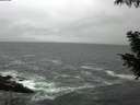 ./images/koeye/fitz-hugh/20200928/fitz-hugh20200928_084001.jpg