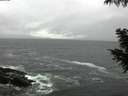 ./images/koeye/fitz-hugh/20200928/fitz-hugh20200928_084501.jpg