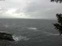 ./images/koeye/fitz-hugh/20200928/fitz-hugh20200928_085001.jpg