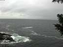./images/koeye/fitz-hugh/20200928/fitz-hugh20200928_085501.jpg