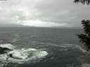./images/koeye/fitz-hugh/20200928/fitz-hugh20200928_090501.jpg
