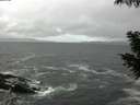 ./images/koeye/fitz-hugh/20200928/fitz-hugh20200928_091001.jpg