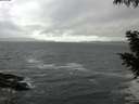 ./images/koeye/fitz-hugh/20200928/fitz-hugh20200928_092501.jpg