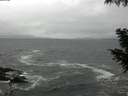 ./images/koeye/fitz-hugh/20200928/fitz-hugh20200928_093501.jpg