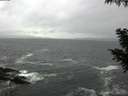 ./images/koeye/fitz-hugh/20200928/fitz-hugh20200928_094001.jpg