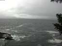 ./images/koeye/fitz-hugh/20200928/fitz-hugh20200928_094501.jpg