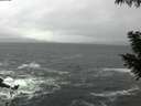 ./images/koeye/fitz-hugh/20200928/fitz-hugh20200928_095501.jpg
