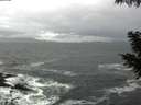 ./images/koeye/fitz-hugh/20200928/fitz-hugh20200928_100002.jpg