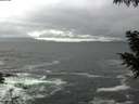 ./images/koeye/fitz-hugh/20200928/fitz-hugh20200928_100501.jpg