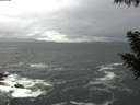 ./images/koeye/fitz-hugh/20200928/fitz-hugh20200928_101502.jpg