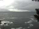 ./images/koeye/fitz-hugh/20200928/fitz-hugh20200928_102501.jpg