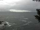 ./images/koeye/fitz-hugh/20200928/fitz-hugh20200928_104002.jpg