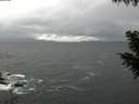 ./images/koeye/fitz-hugh/20200928/fitz-hugh20200928_105002.jpg