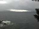 ./images/koeye/fitz-hugh/20200928/fitz-hugh20200928_105501.jpg