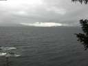 ./images/koeye/fitz-hugh/20200928/fitz-hugh20200928_110502.jpg