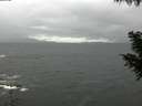 ./images/koeye/fitz-hugh/20200928/fitz-hugh20200928_111002.jpg
