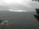 ./images/koeye/fitz-hugh/20200928/fitz-hugh20200928_111502.jpg