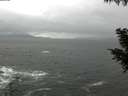 ./images/koeye/fitz-hugh/20200928/fitz-hugh20200928_112002.jpg