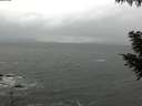 ./images/koeye/fitz-hugh/20200928/fitz-hugh20200928_112502.jpg