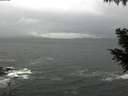 ./images/koeye/fitz-hugh/20200928/fitz-hugh20200928_113502.jpg